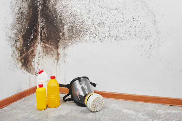 Trusted Yorklyn, PA Mold Removal Experts