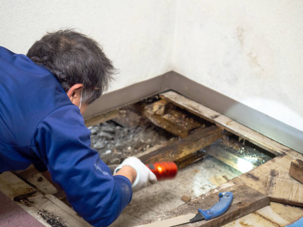 Best Commercial Mold Removal  in Yorklyn, PA