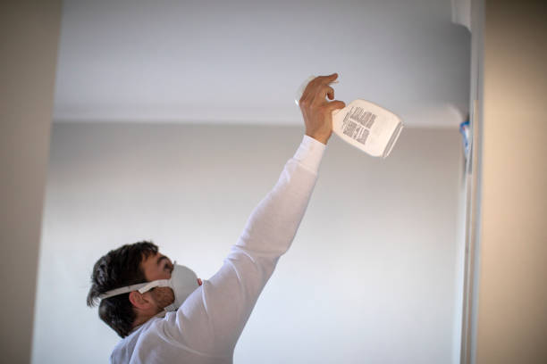 Best Fast Mold Removal  in Yorklyn, PA