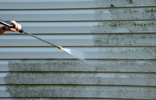 Mold Removal Process in Yorklyn, PA