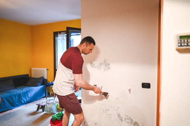 Best Certified Mold Removal  in Yorklyn, PA