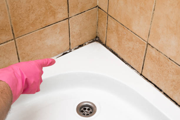Best Mold Testing  in Yorklyn, PA
